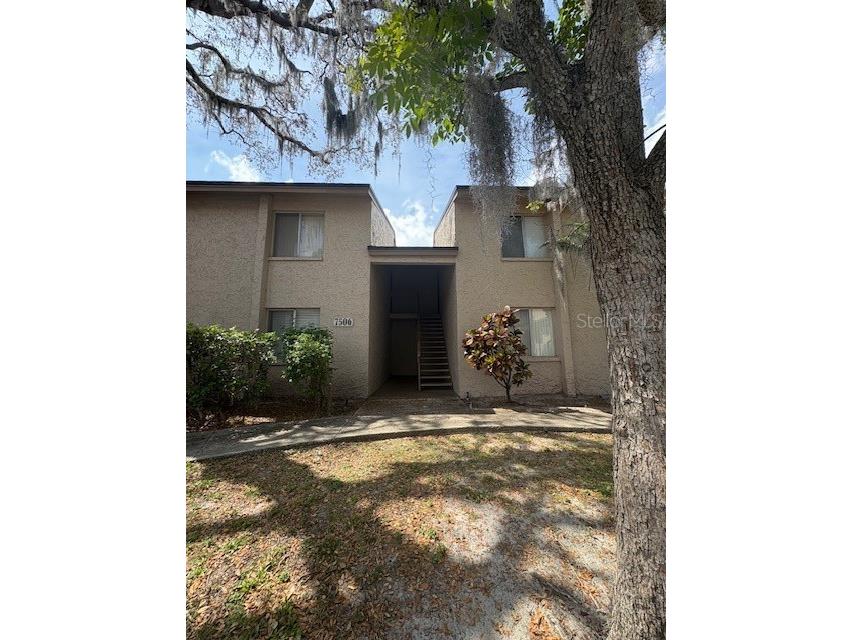 7506 Presley Place #108 Tampa FL 33617 TB8366781 image1