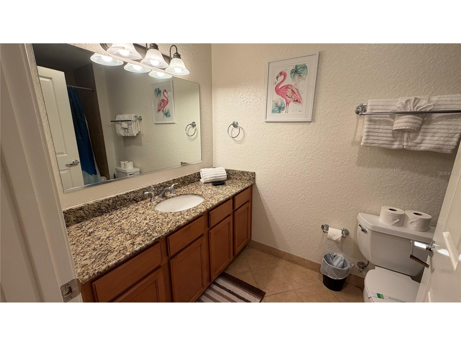 7506 Seven Eagles Way Reunion FL 34747 O6405049 image21