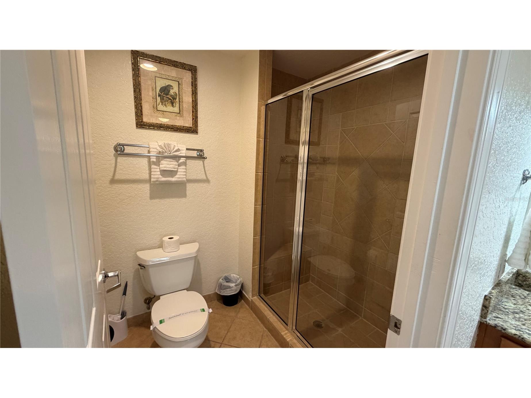 7506 Seven Eagles Way Reunion FL 34747 O6405049 image22