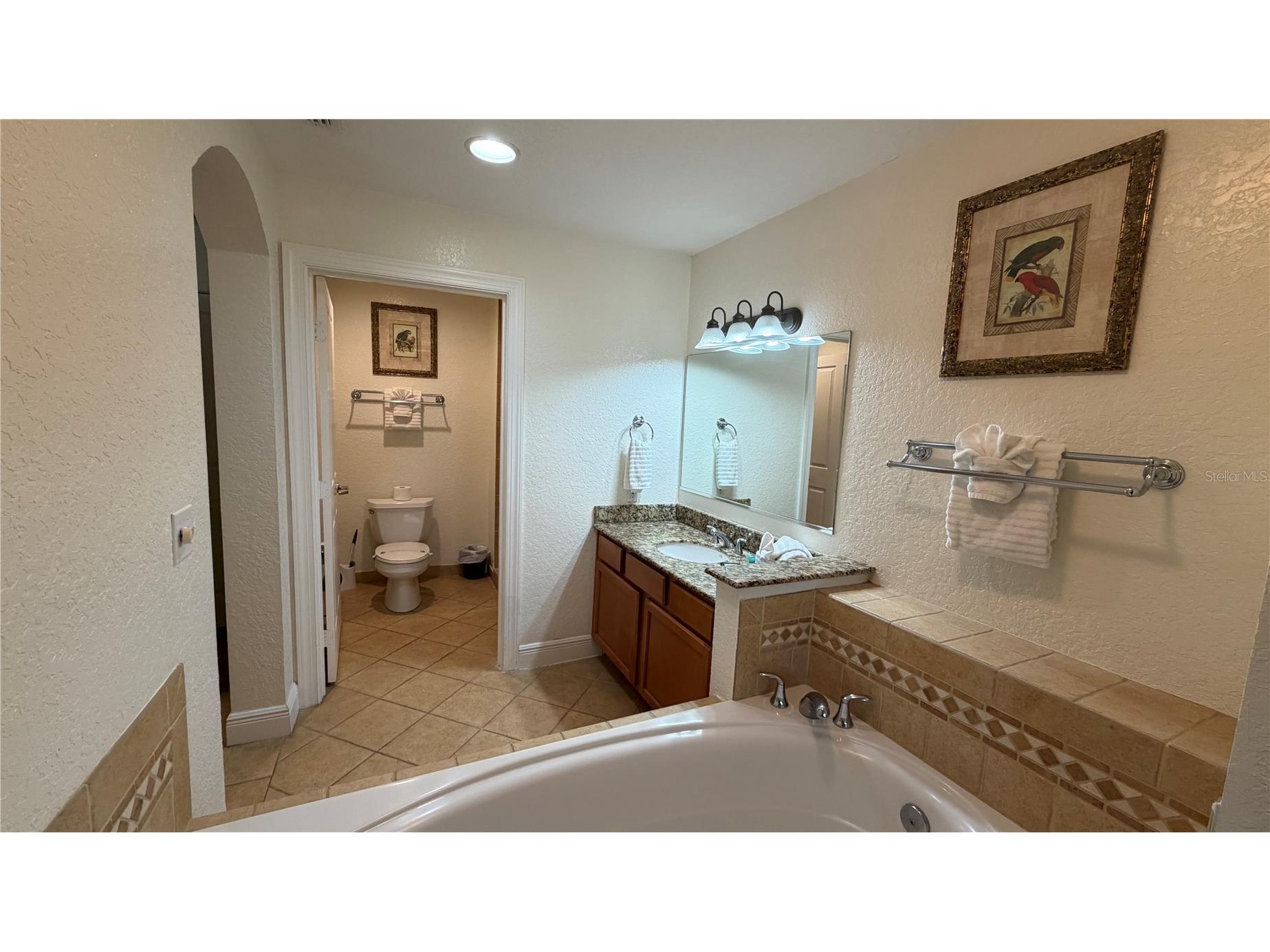 7506 Seven Eagles Way Reunion FL 34747 O6405049 image24