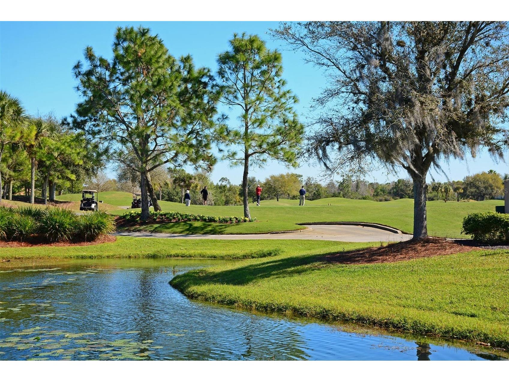 7507 Abbey Glen Bradenton FL 34202 A4692958 image67