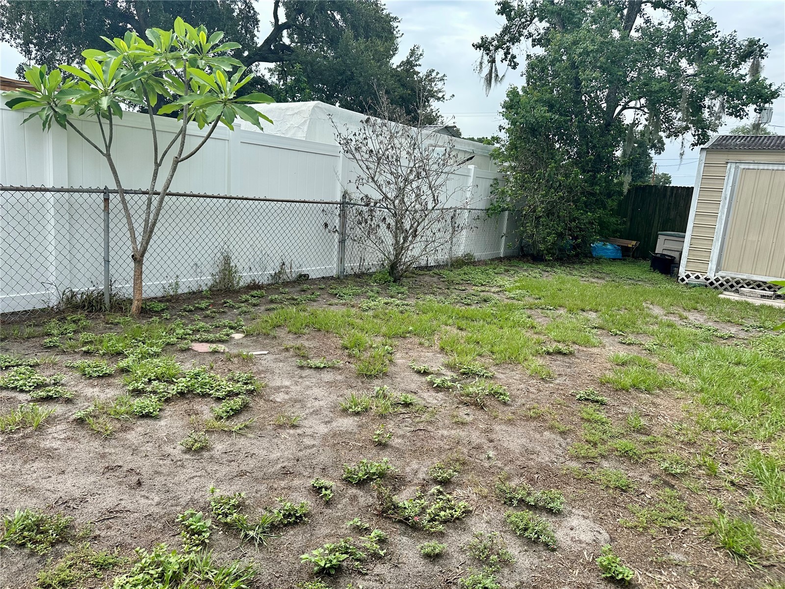 7507 Coral Vine Lane Tampa FL 33619 TB8531239 image23