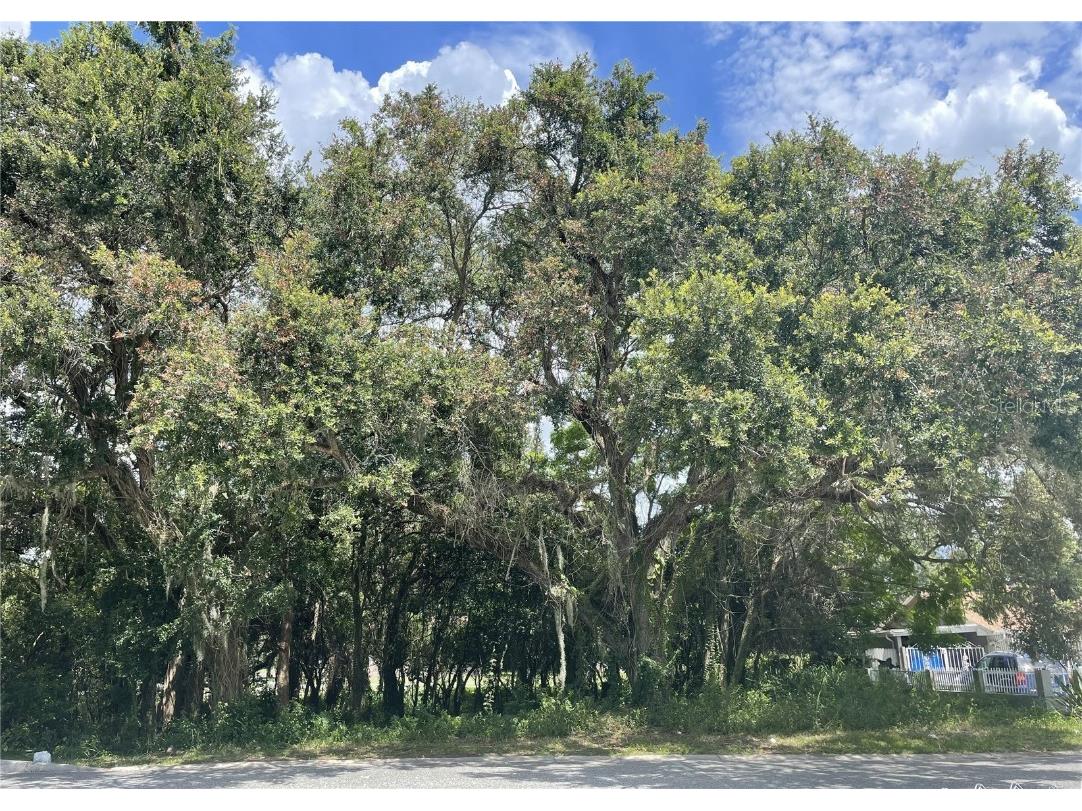 7507 Liverpool Boulevard Orlando FL 32807 O6117888 image1