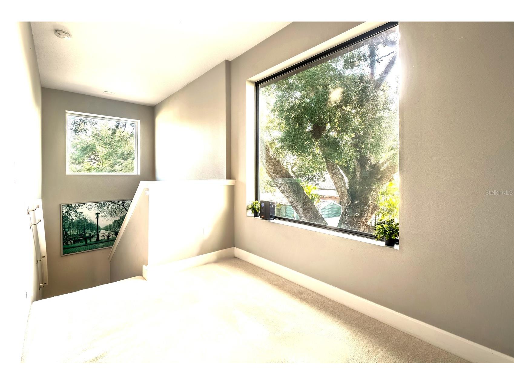 7507 N Dartmouth Avenue Tampa FL 33604 TB8509081 image29