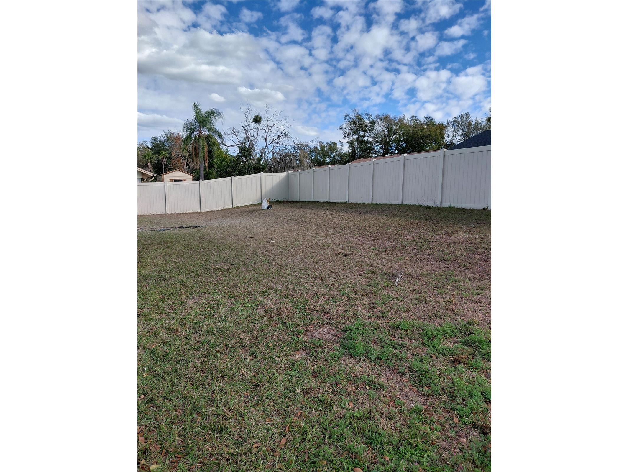 7507 S Sanibel Circle Temple Terrace FL 33637 TB8467450 image25