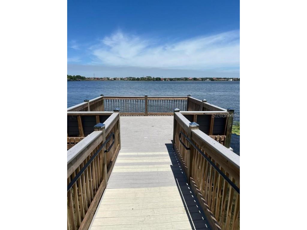 7508 Lake Albert Drive Windermere FL 34786 O6341533 image53