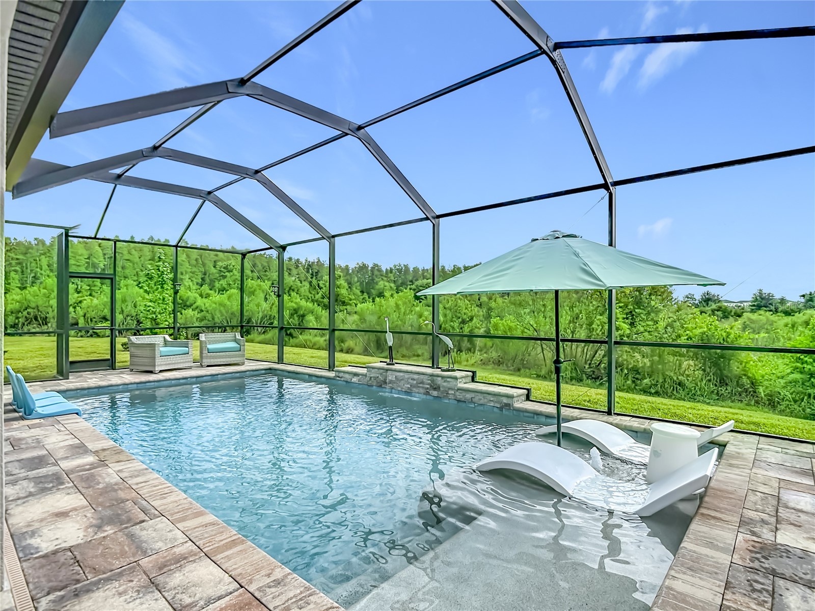 7508 Pool Compass Loop Wesley Chapel FL 33545 TB8499035 image2