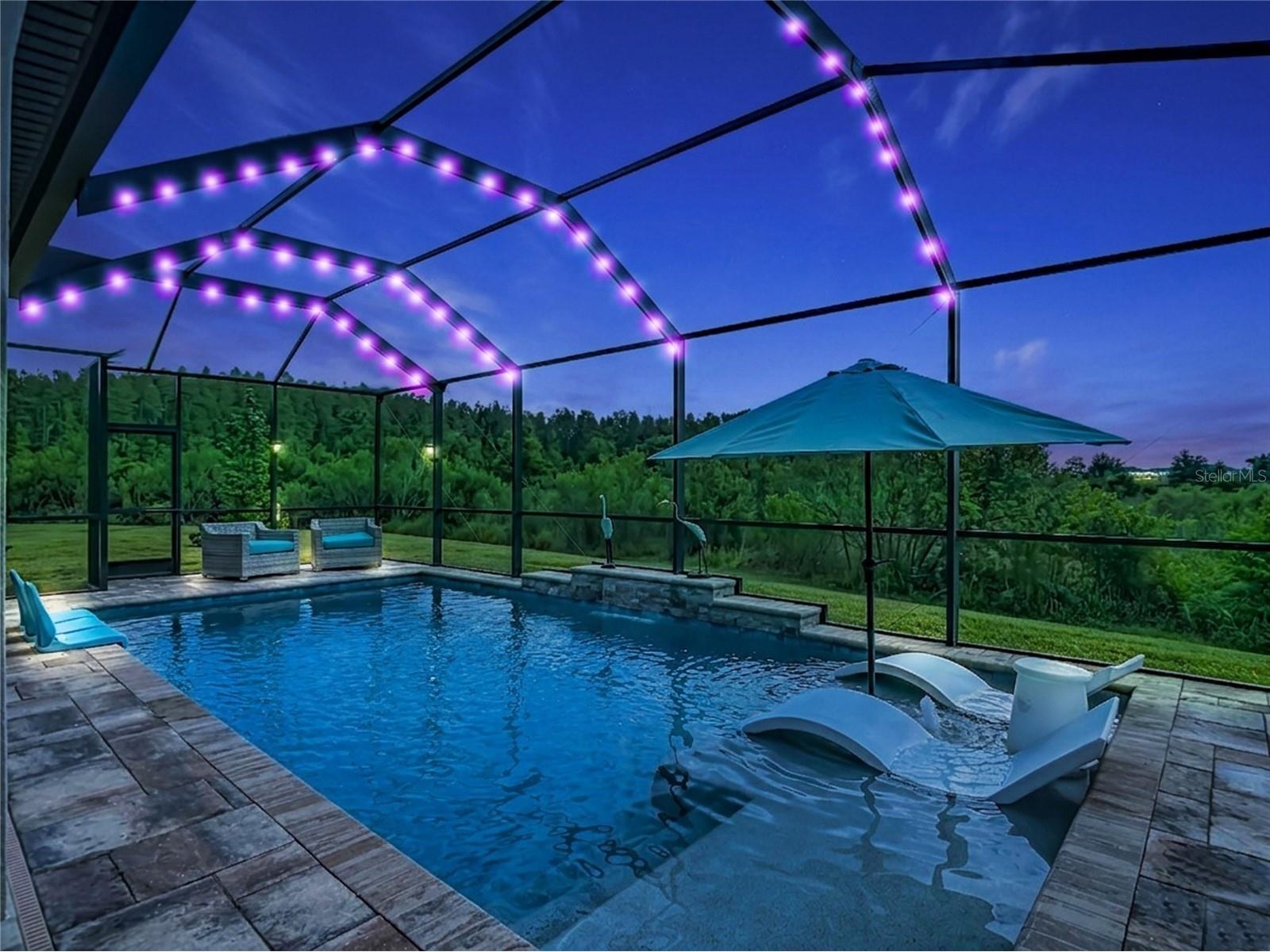 7508 Pool Compass Loop Wesley Chapel FL 33545 TB8499035 image3