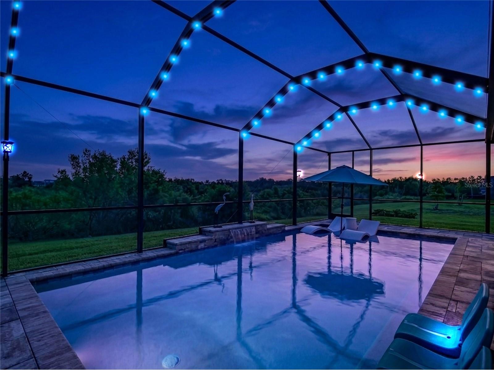 7508 Pool Compass Loop Wesley Chapel FL 33545 TB8499035 image50
