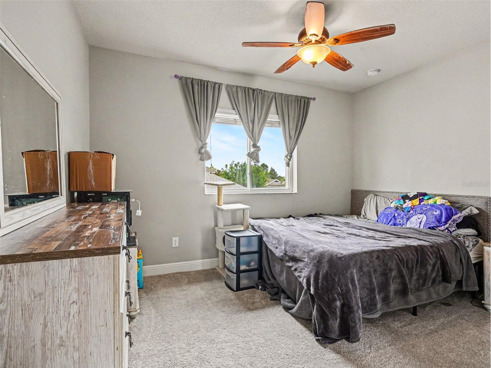 7508 Sea Lilly Court Apollo Beach FL 33572 TB8501369 image11