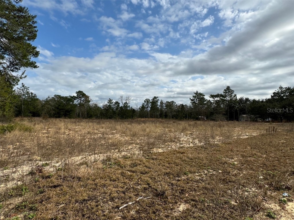 7509 Appomattox Avenue Keystone Heights FL 32656 FC297351 image1