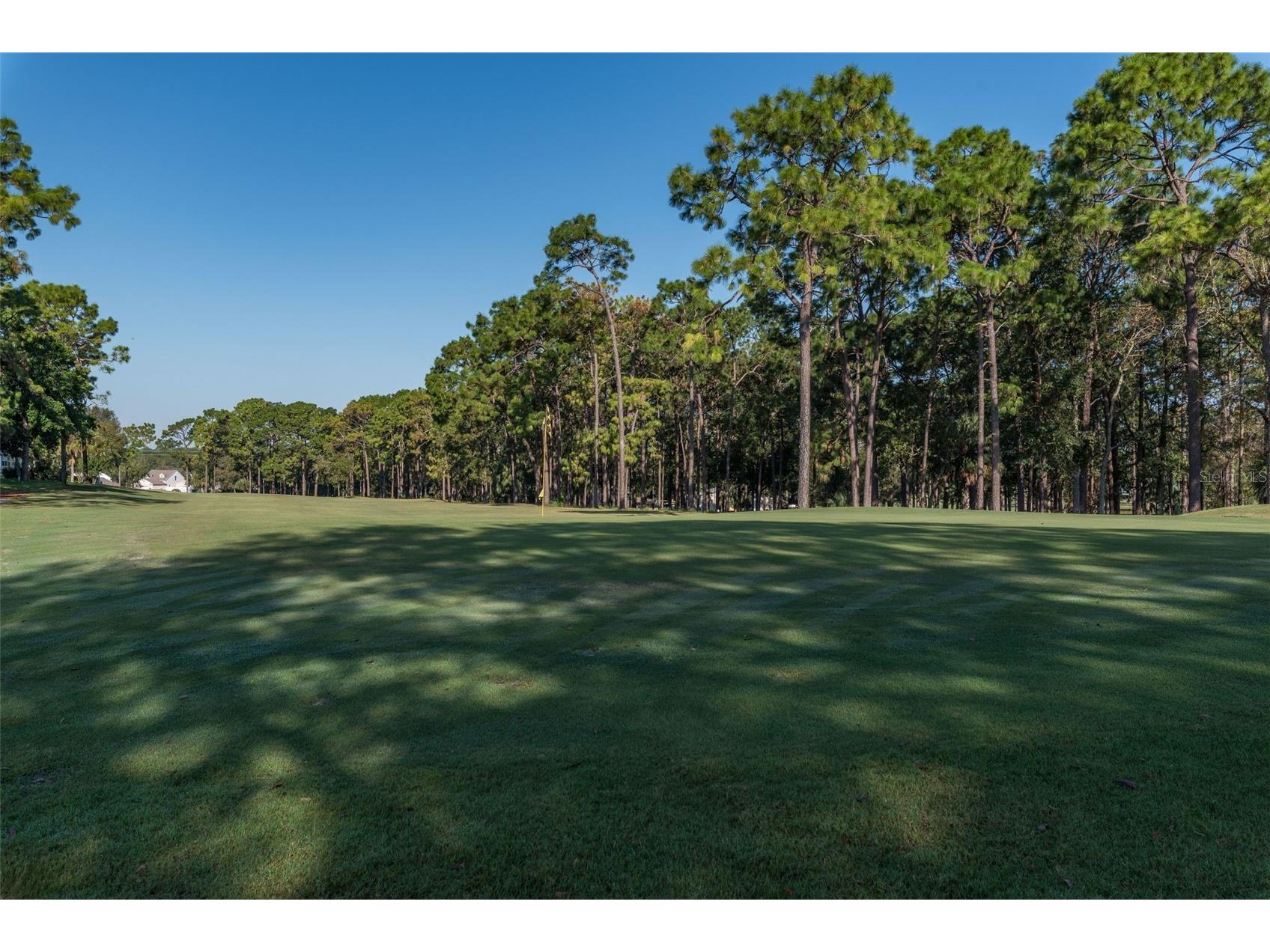 7509 Mission Street Brooksville FL 34613 TB8477709 image36