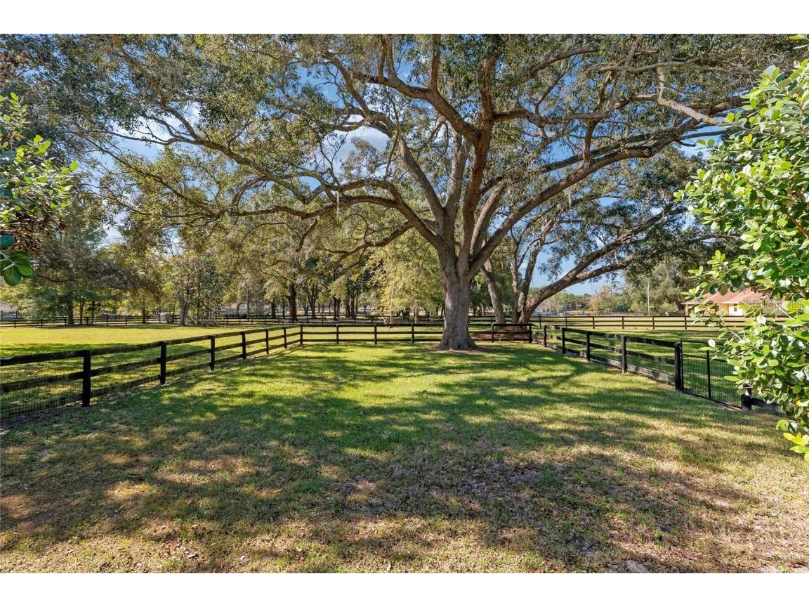 7509 SW 93rd Street Road Ocala FL 34476 OM713127 image82