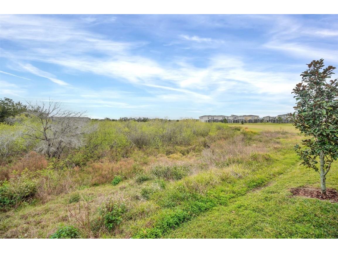 751 Drop Shot Drive Davenport FL 33896 O6173246 image47