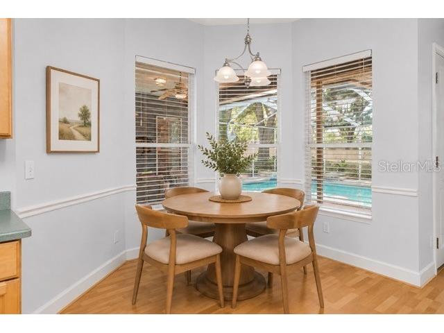 751 House Wren Circle Palm Harbor FL 34683 TB8521752 image16