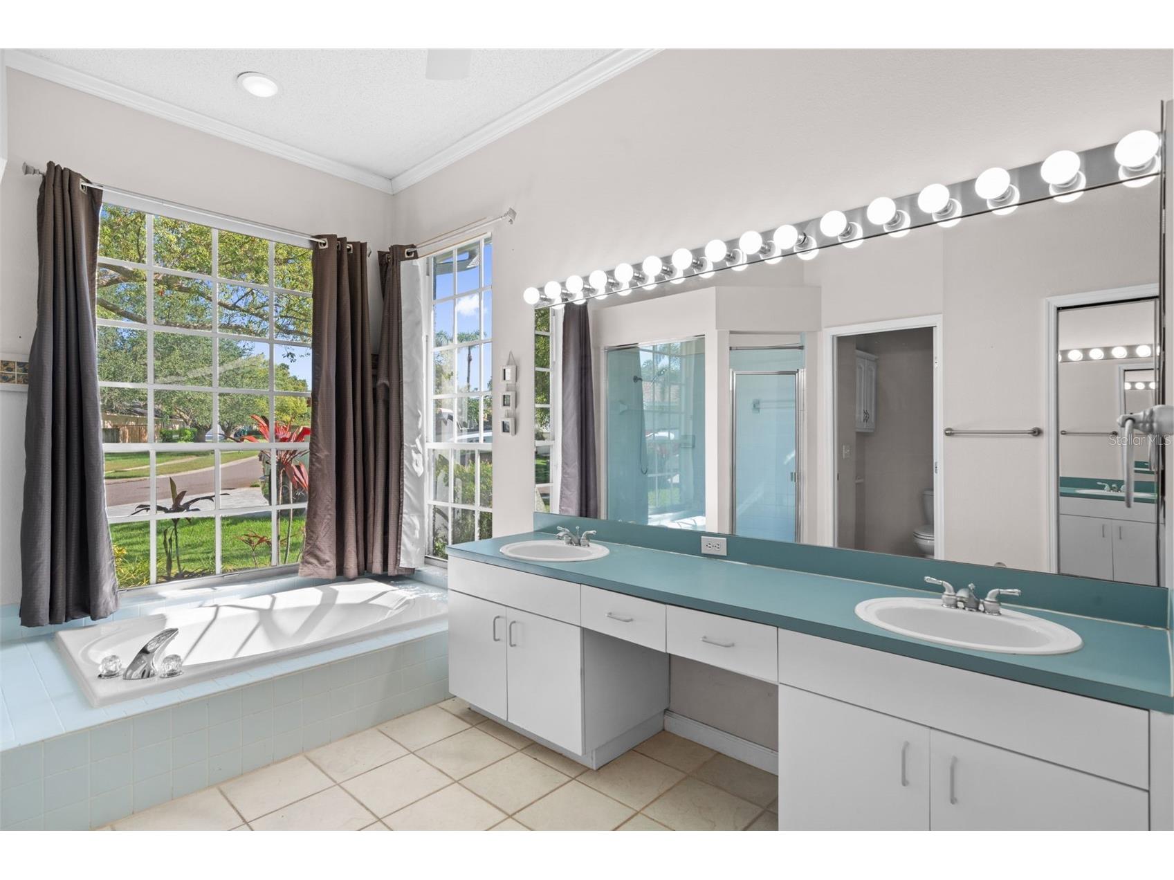 751 House Wren Circle Palm Harbor FL 34683 TB8521752 image25