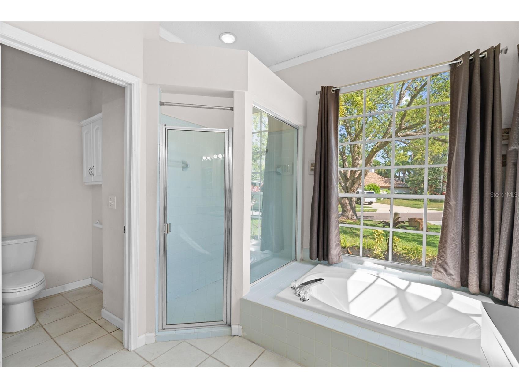 751 House Wren Circle Palm Harbor FL 34683 TB8521752 image26