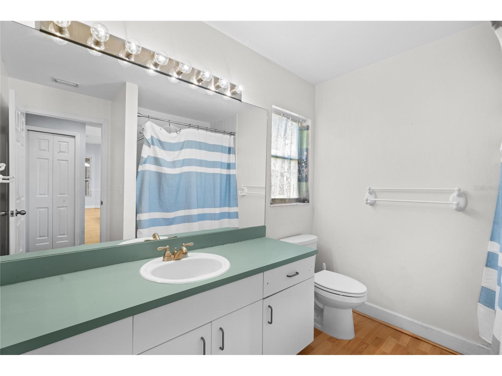 751 House Wren Circle Palm Harbor FL 34683 TB8521752 image28