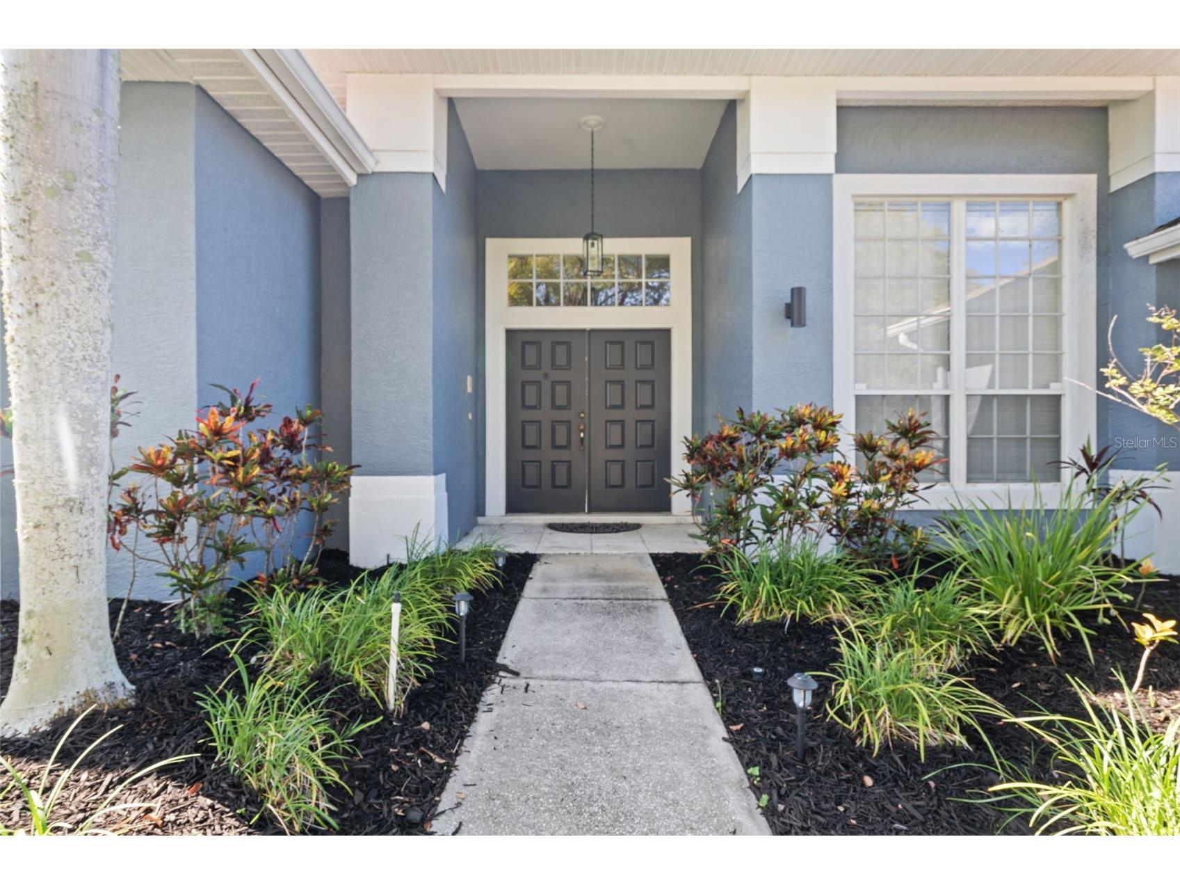 751 House Wren Circle Palm Harbor FL 34683 TB8521752 image3