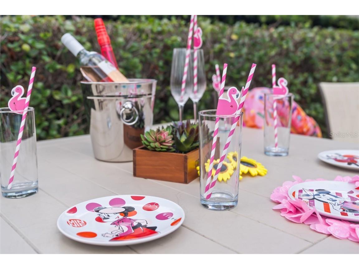 751 Lasso Drive Kissimmee FL 34747 O6368608 image69