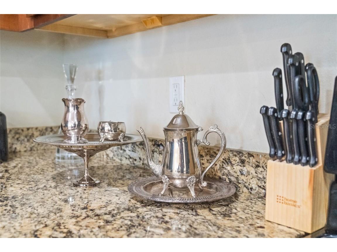 751 Lasso Drive Kissimmee FL 34747 O6368608 image71