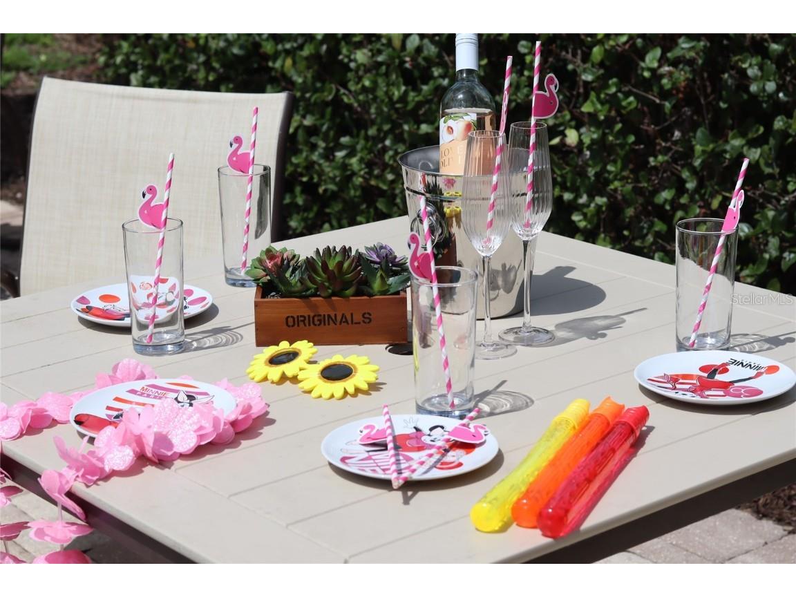 751 Lasso Drive Kissimmee FL 34747 O6368608 image75