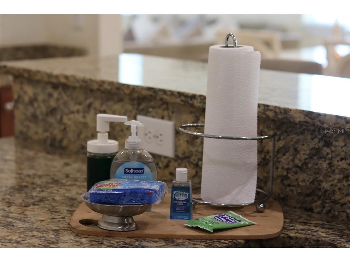 751 Lasso Drive Kissimmee FL 34747 O6368608 image76