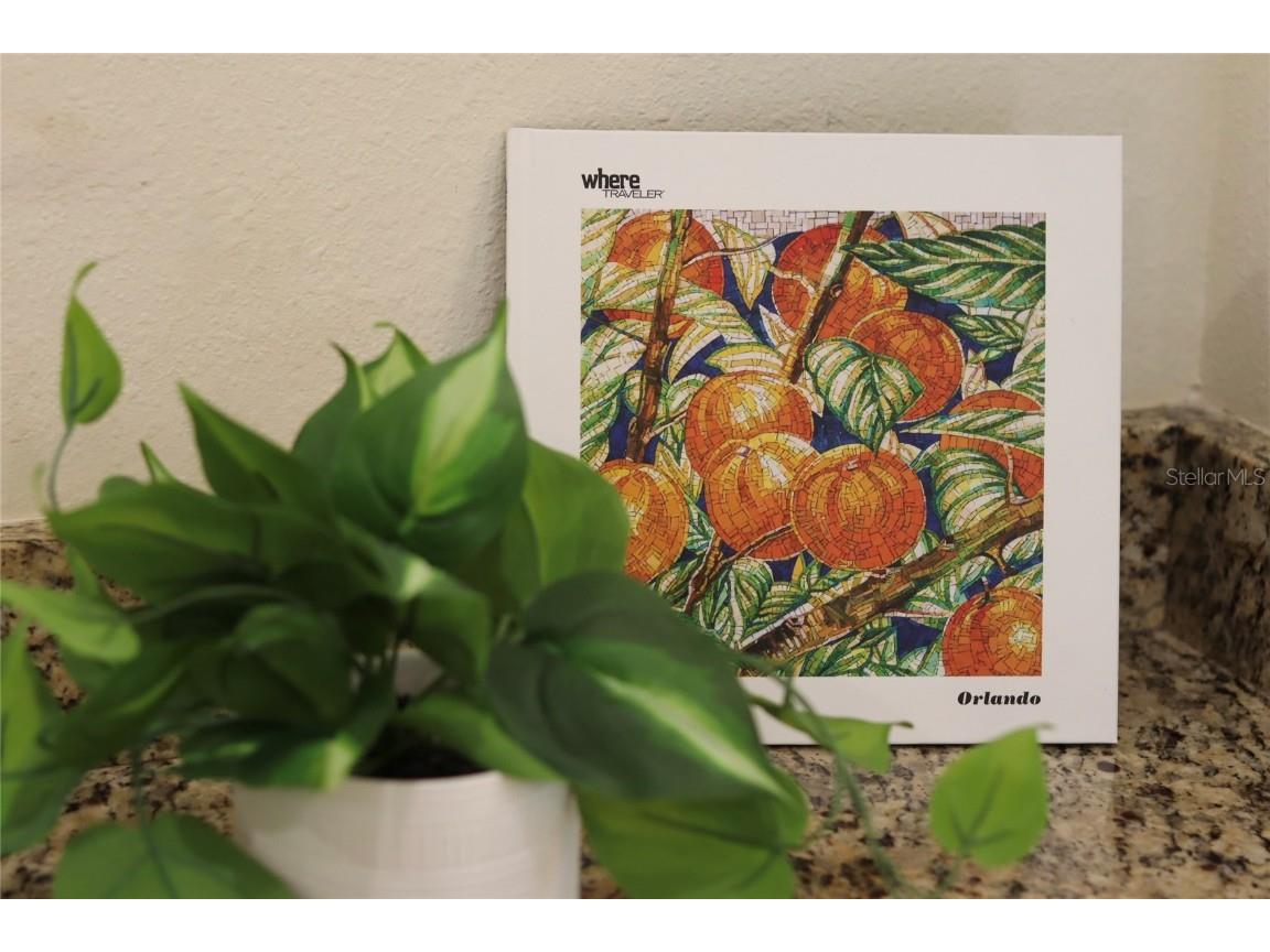 751 Lasso Drive Kissimmee FL 34747 O6368608 image77