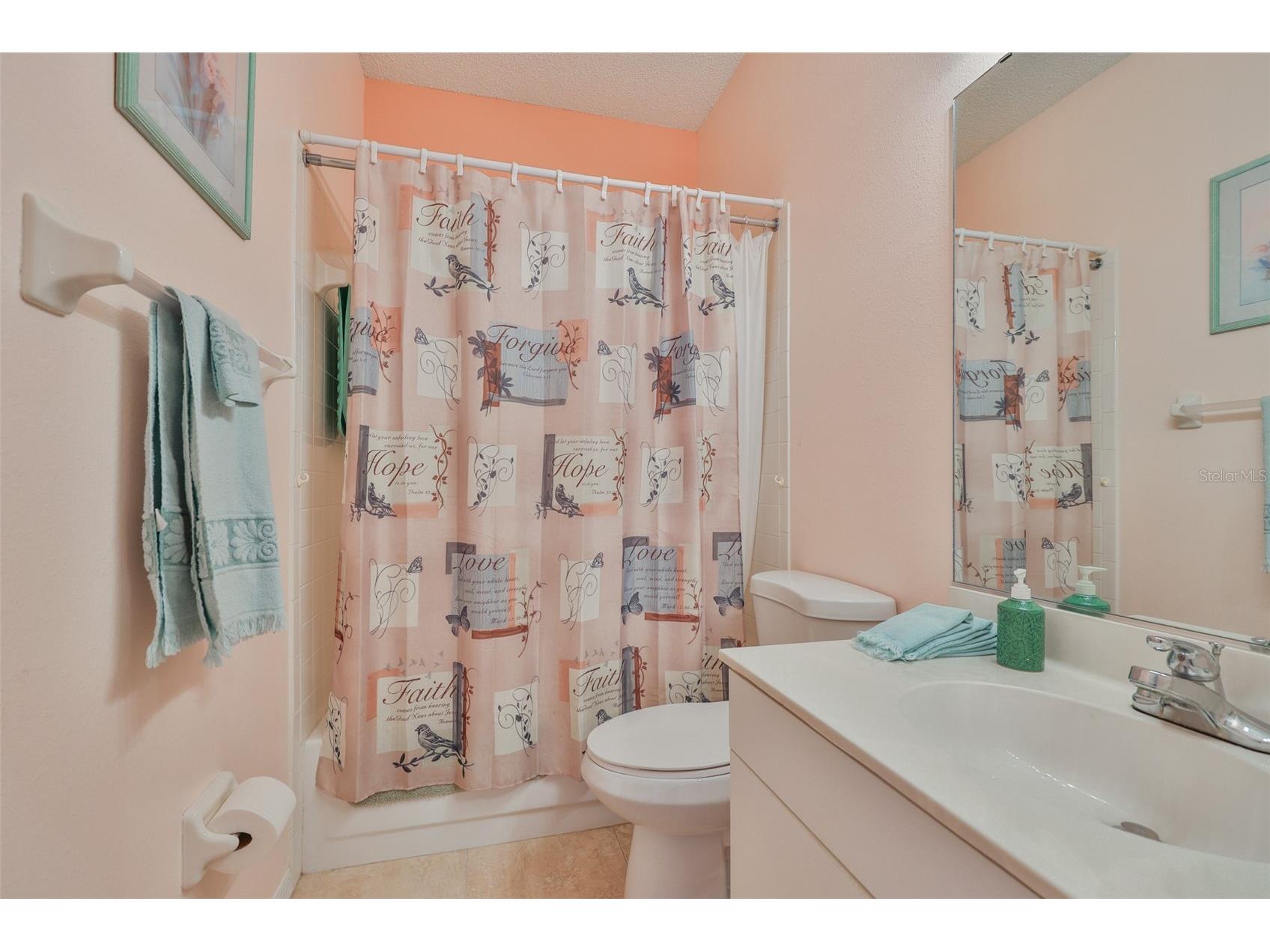 751 Mccallister Avenue Sun City Center FL 33573 TB8431338 image27