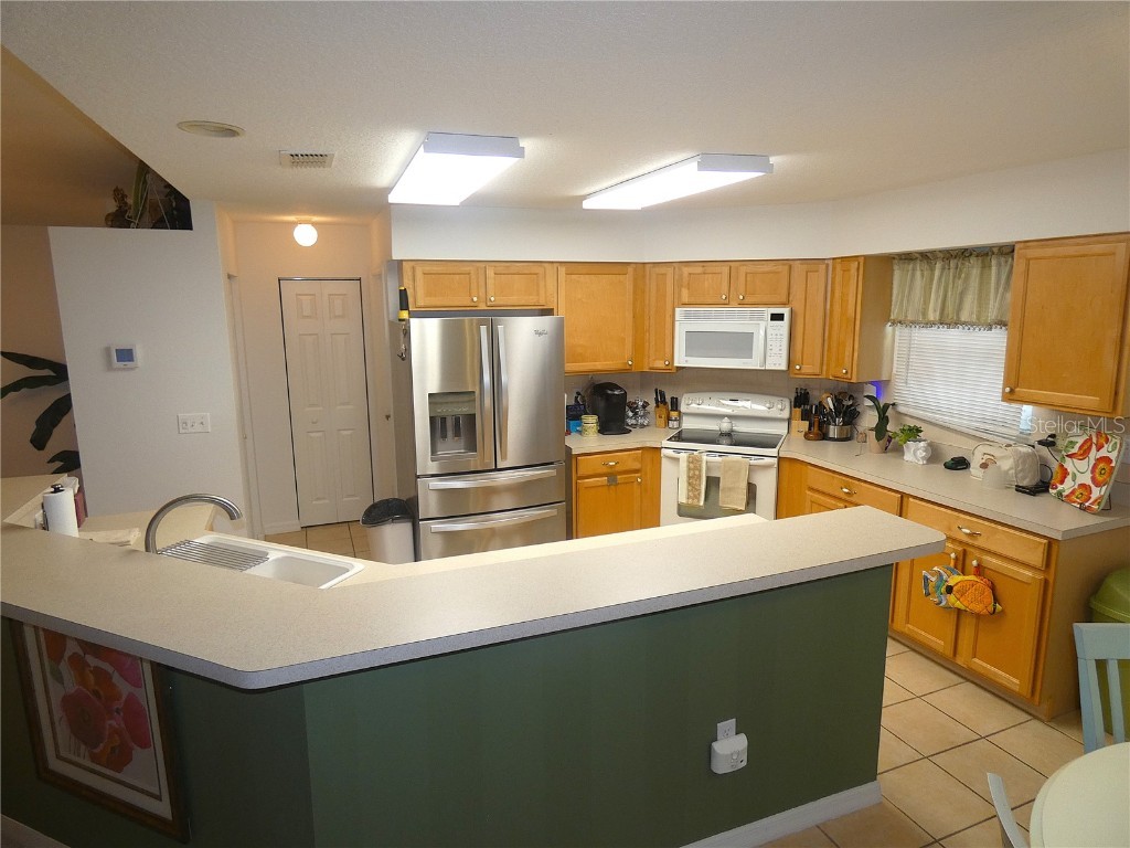 751 Old Oaks Lane Leesburg FL 34748 G5097637 image9