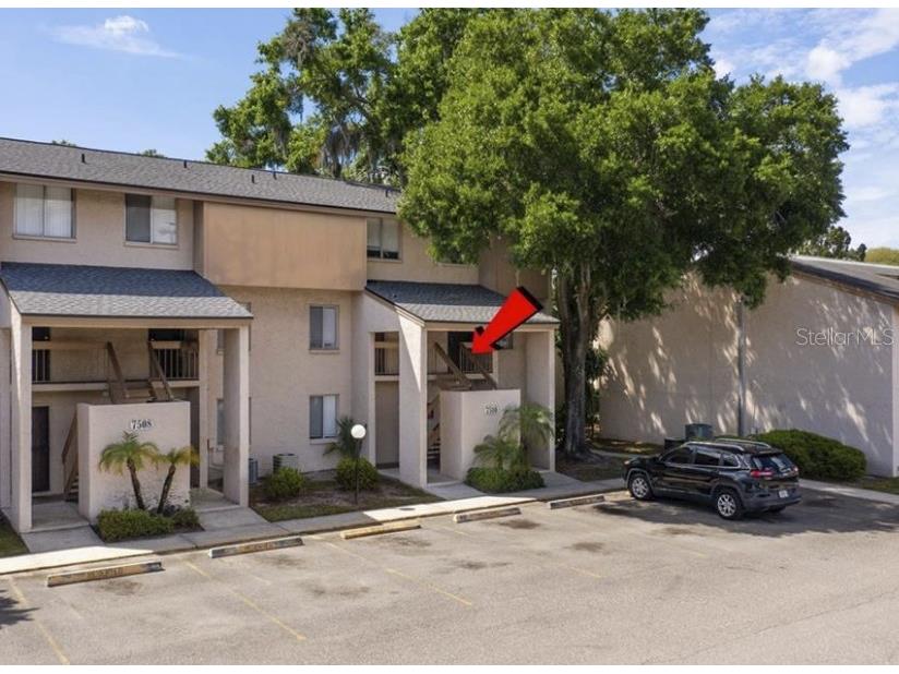 7510 Needle Leaf Place #57 Tampa FL 33617 T3449698 image1