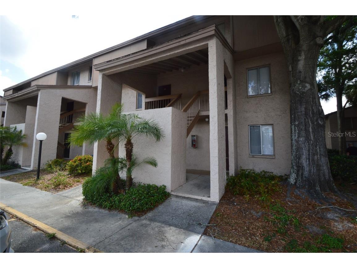 7510 Needle Leaf Place #A Tampa FL 33617 O6071583 image1