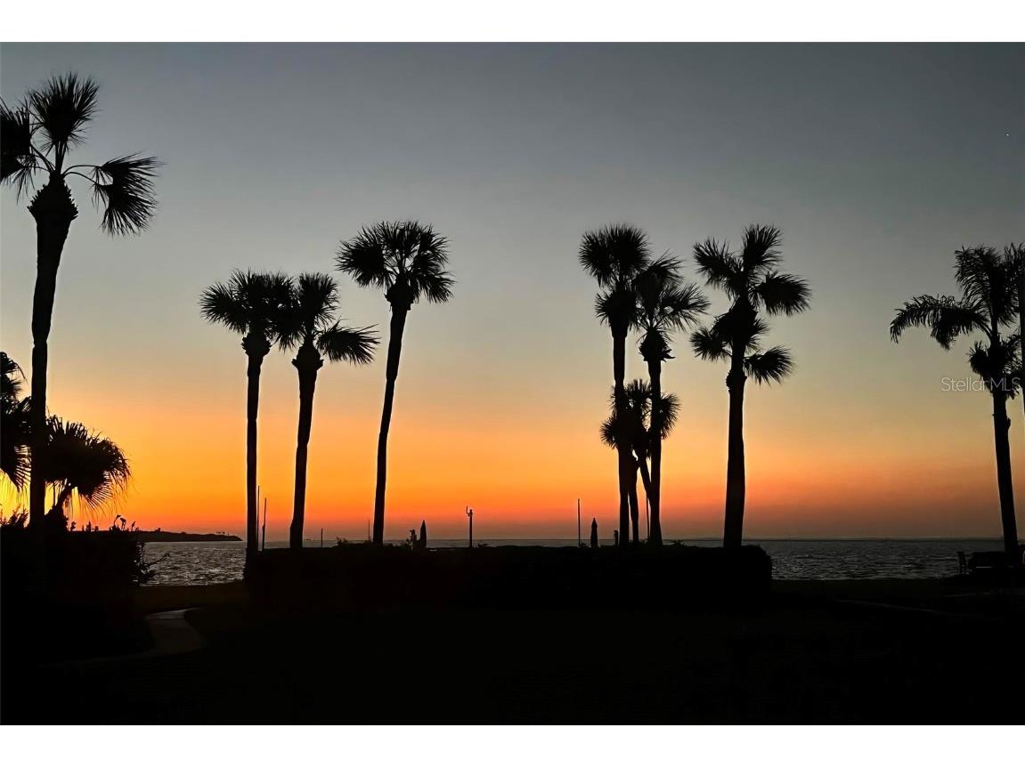 7510 Sunshine Skyway Lane S #T13 Saint Petersburg FL 33711 - TAMPA BAY A4670484 image7