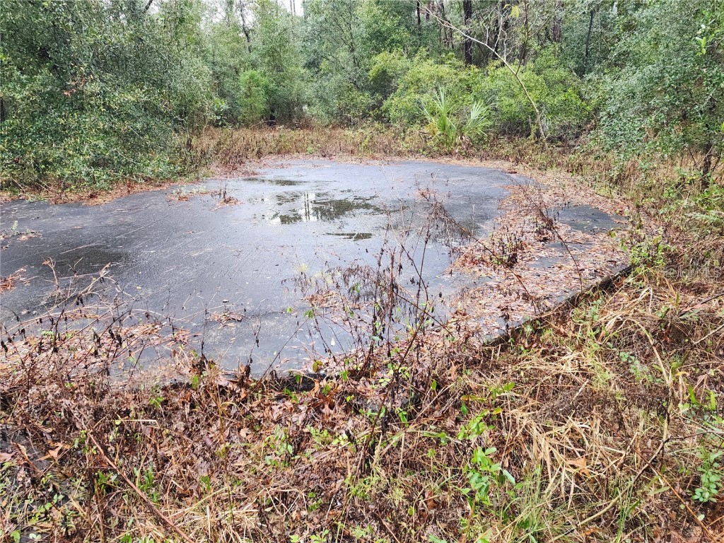 7510 W Dunnellon Road Dunnellon FL 34433 TB8373977 image1