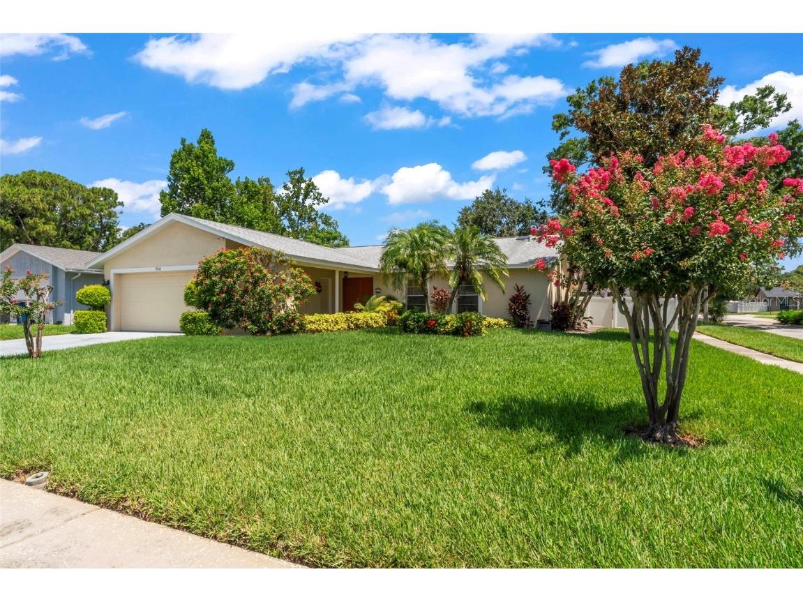 7511 Mayfair Court Tampa FL 33634 TB8404551 image1