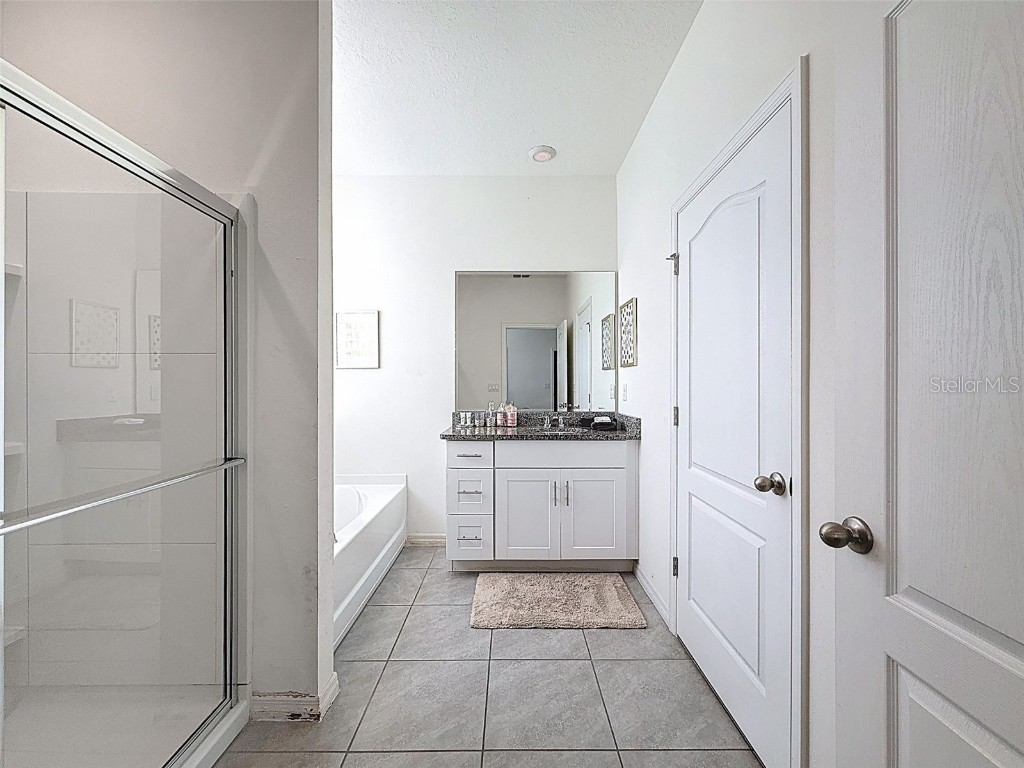 7511 Oakmoss Loop Davenport FL 33837 P4936413 image21