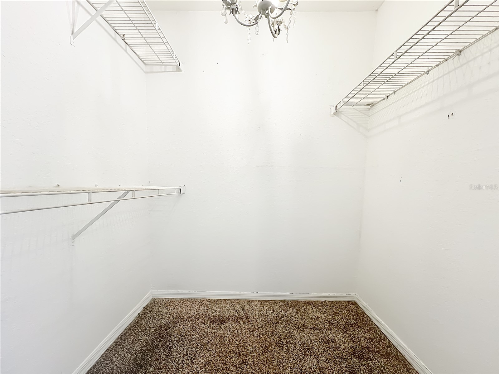 7511 Seurat Street #10108 Orlando FL 32819 O6369595 image44