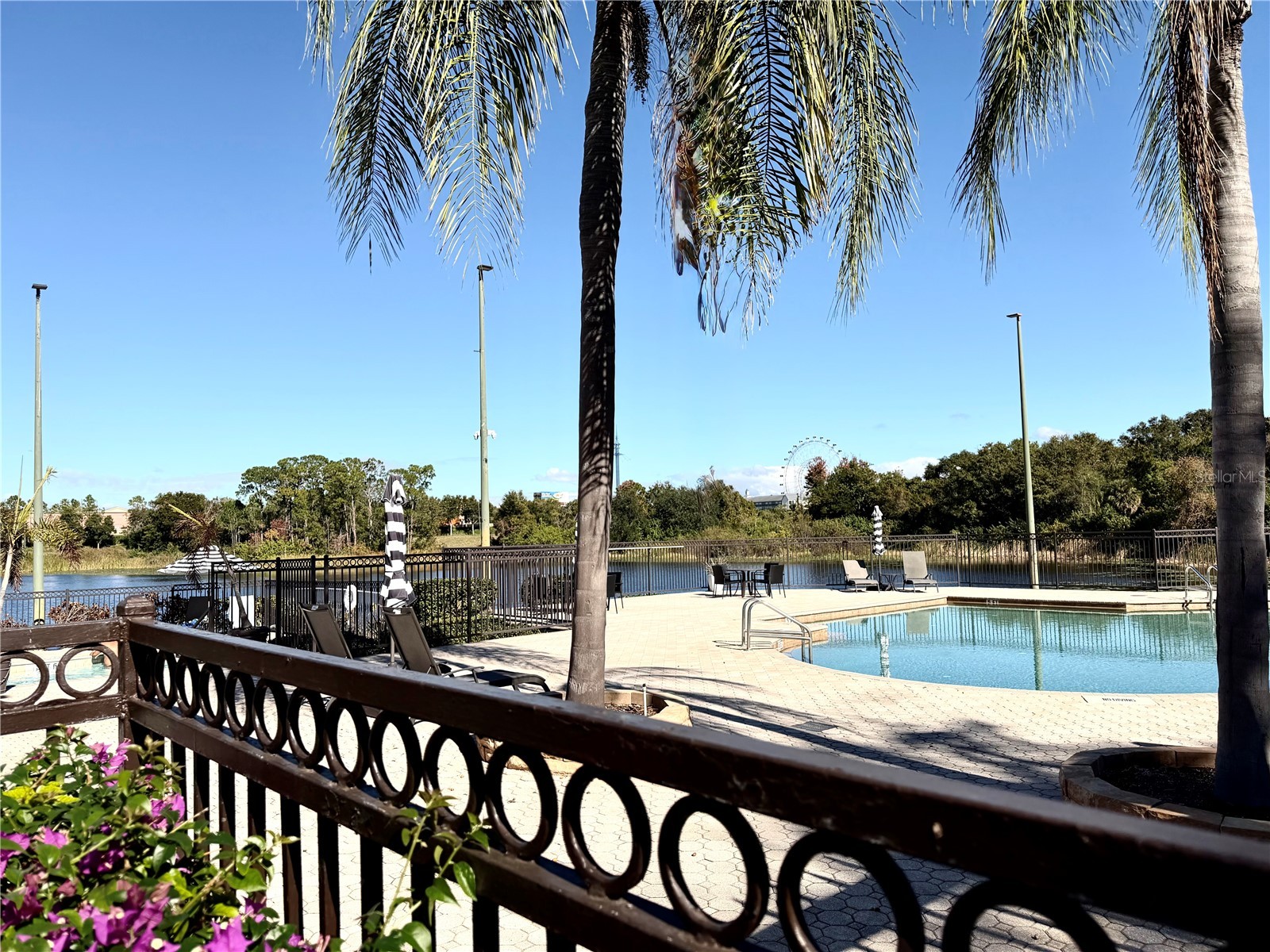 7511 Seurat Street #10108 Orlando FL 32819 O6369595 image60