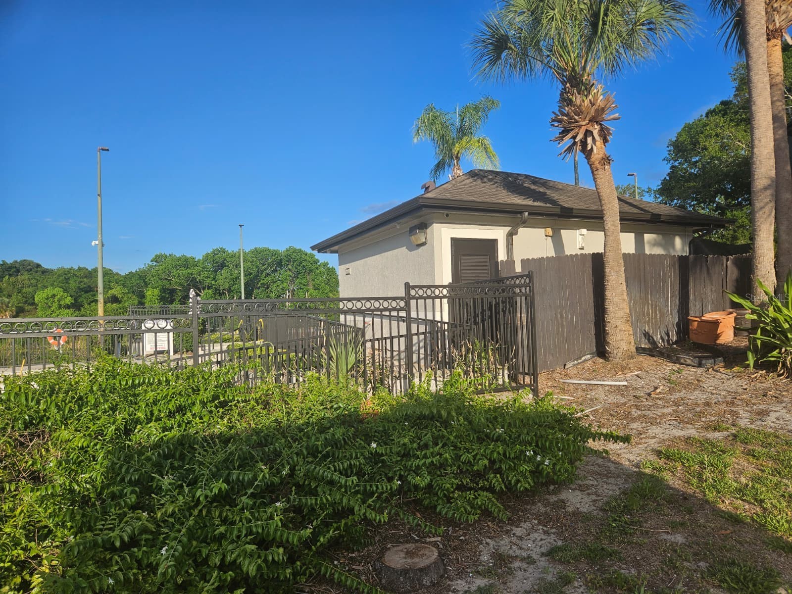 7511 Seurat Street #10203 Orlando FL 32819 O6410804 image43