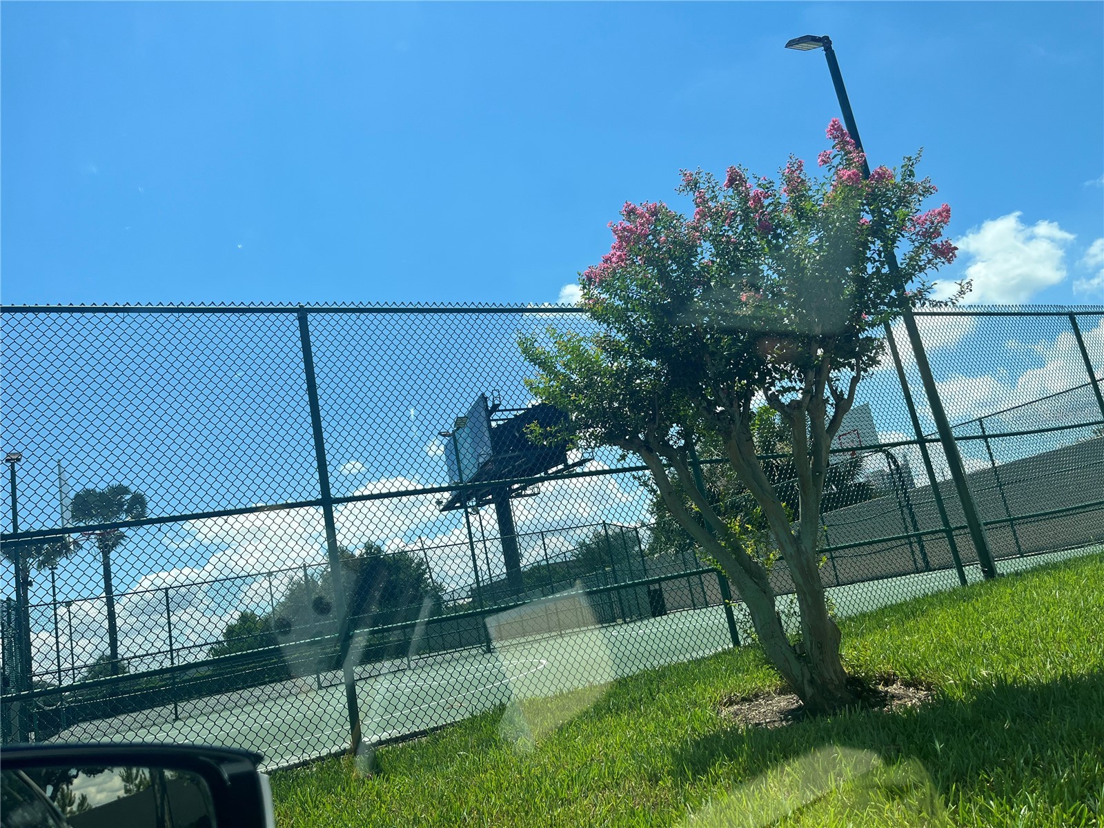 7511 Seurat Street #10304 Orlando FL 32819 O6422837 image9