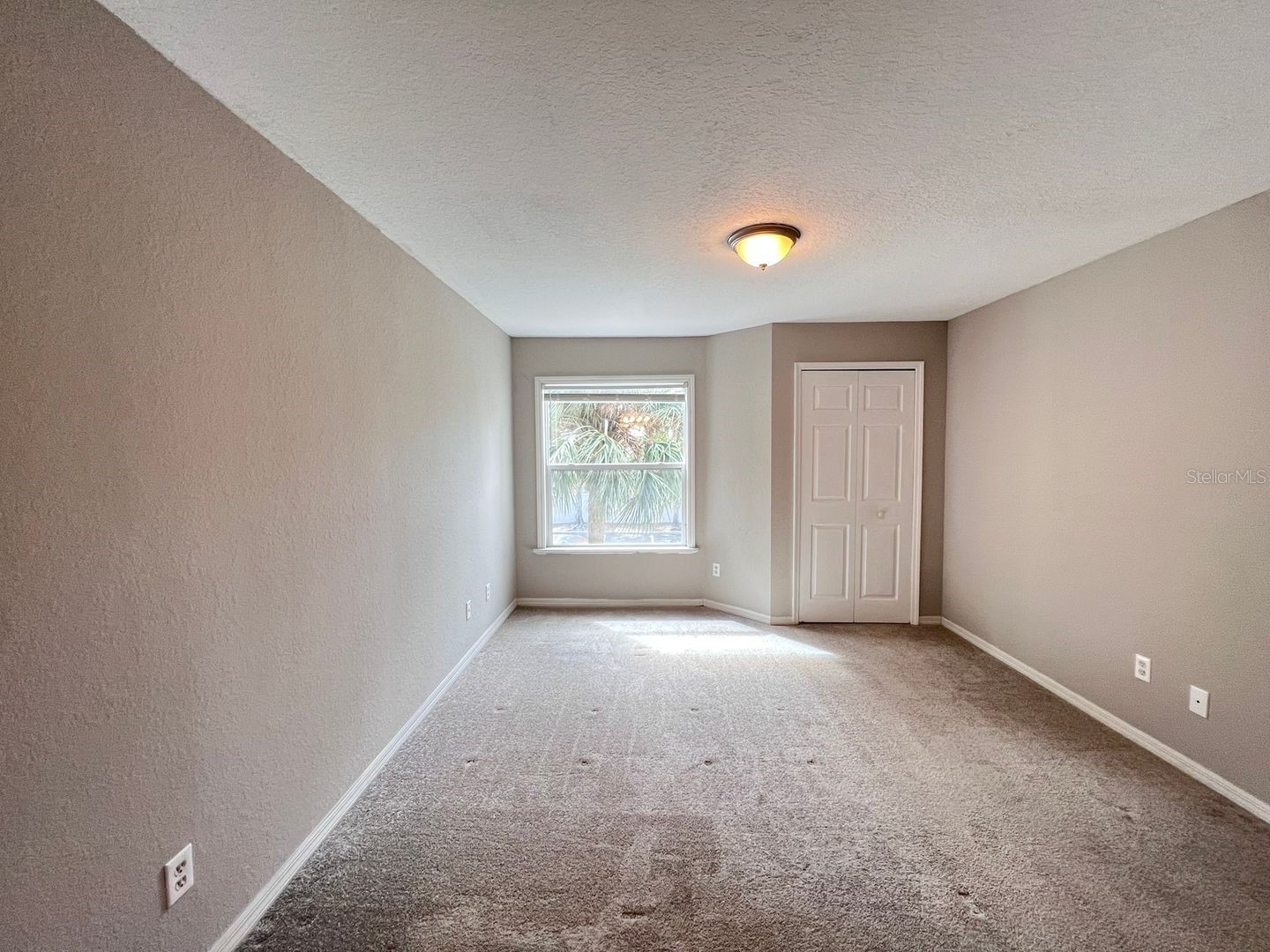 7511 Seurat Street #205 Orlando FL 32819 O6391765 image14