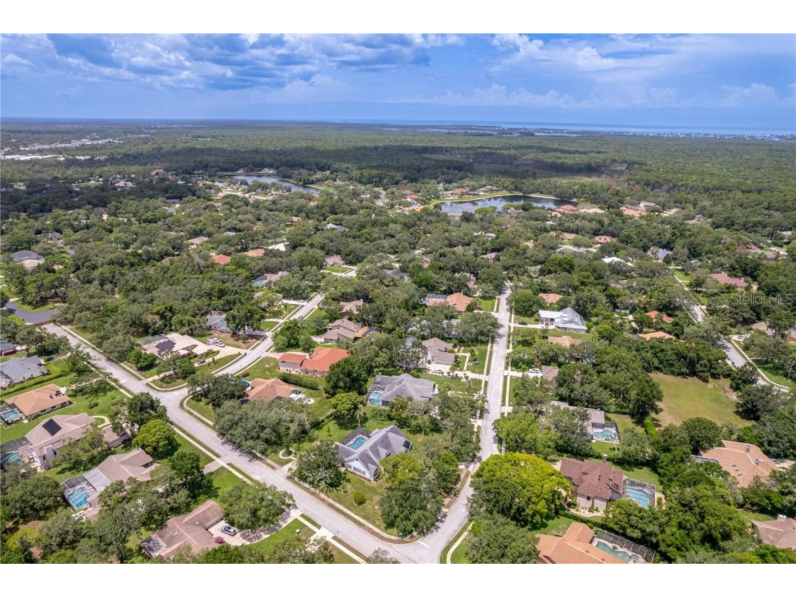 7512 Oak Tree Lane Spring Hill FL 34607 W7876881 image11