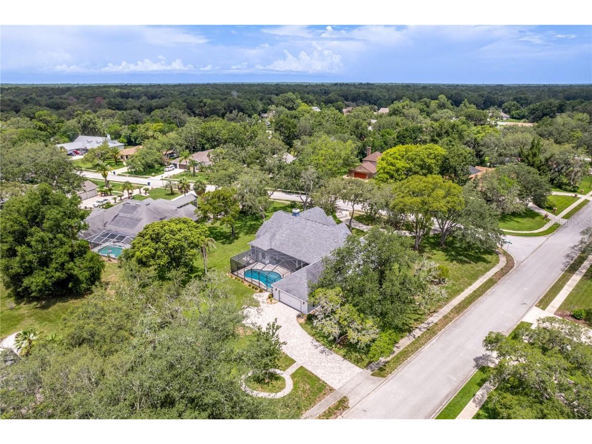 7512 Oak Tree Lane Spring Hill FL 34607 W7876881 image21