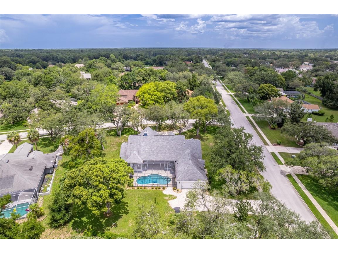 7512 Oak Tree Lane Spring Hill FL 34607 W7876881 image47