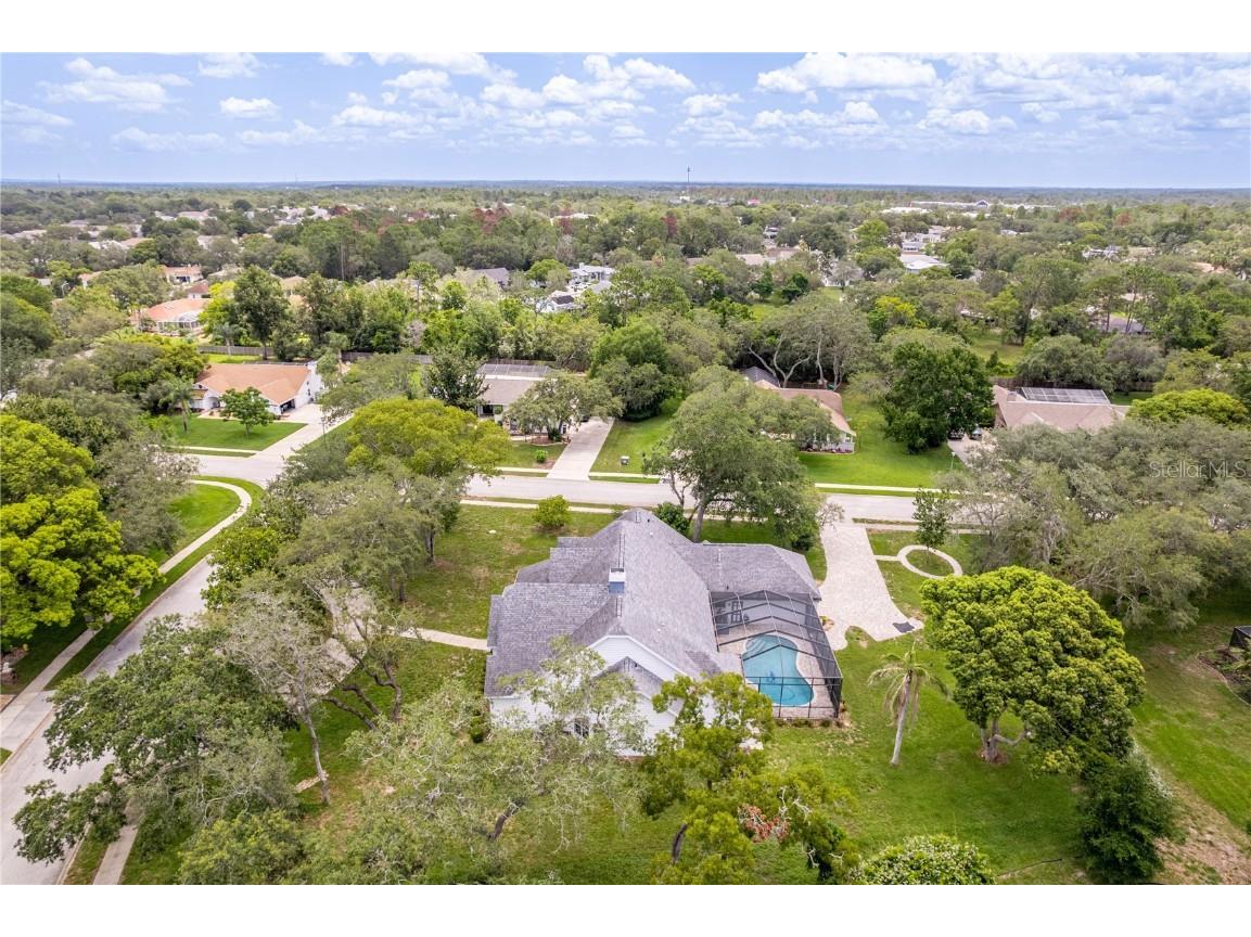 7512 Oak Tree Lane Spring Hill FL 34607 W7876881 image54