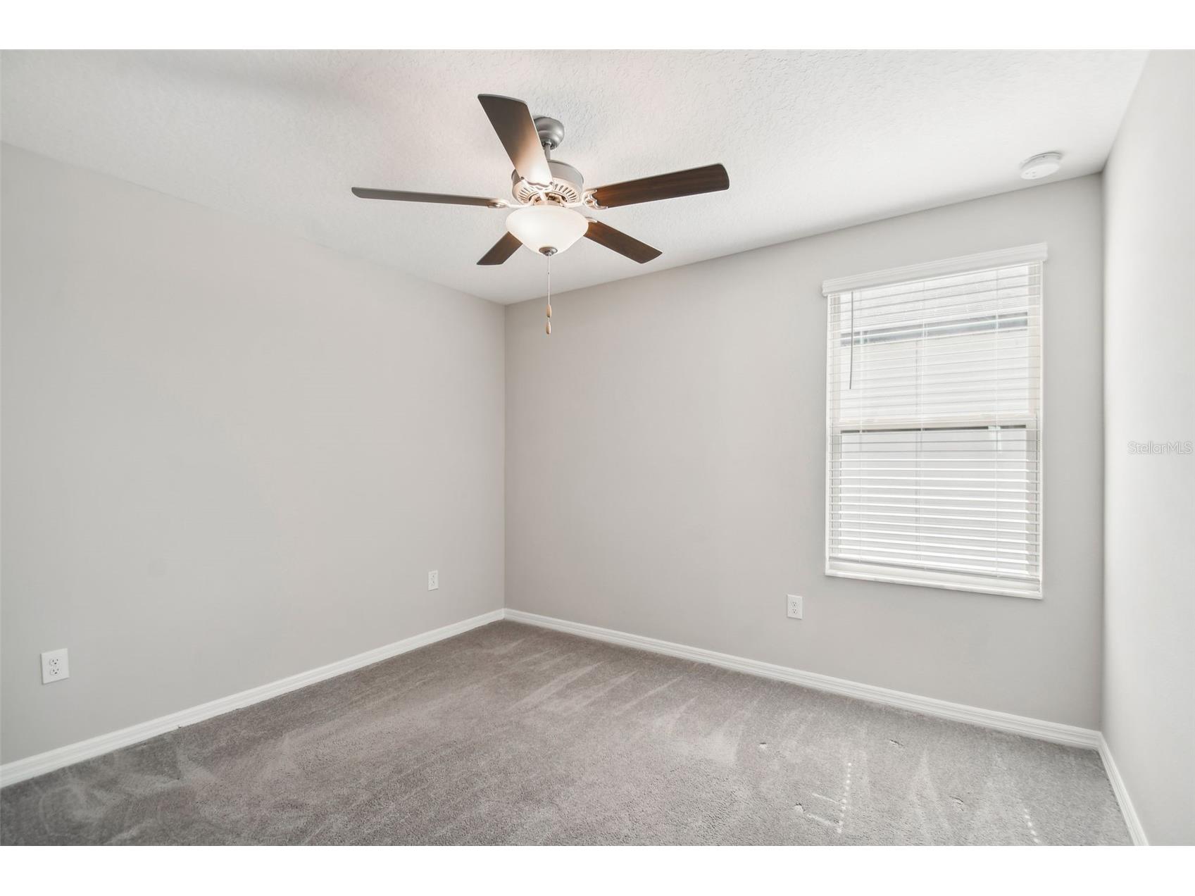 7512 Samuel Ivy Drive Tampa FL 33619 TB8517059 image21