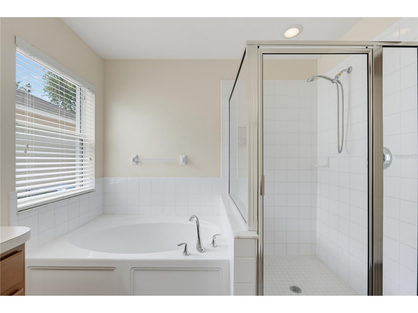 7512 Turtle View Drive Ruskin FL 33573 S5153599 image50