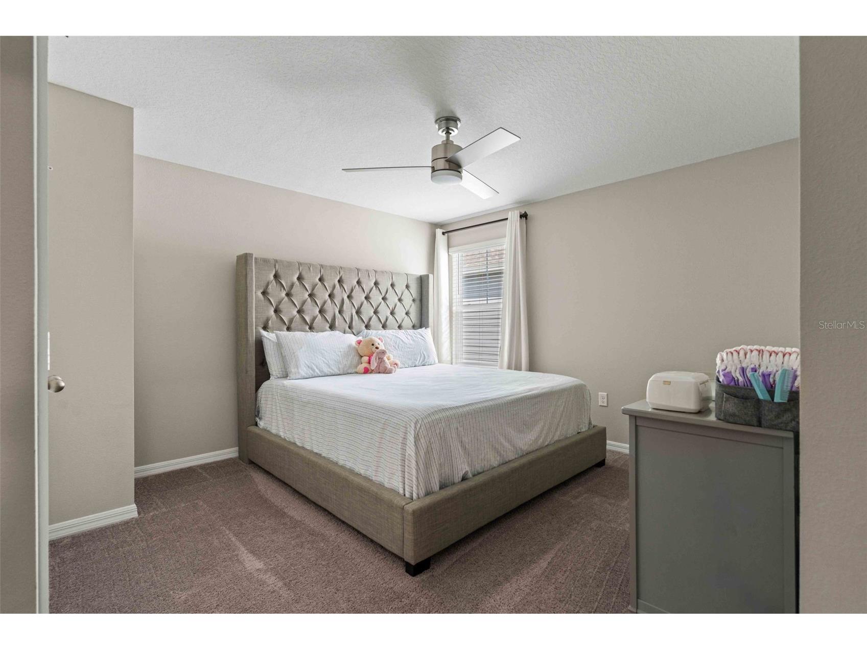 7512 Wallflower Trail Wesley Chapel FL 33545 TB8491806 image28