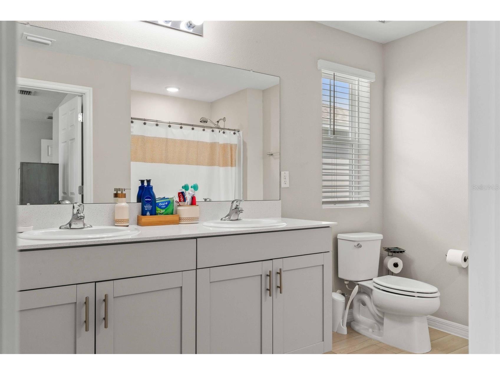 7512 Wallflower Trail Wesley Chapel FL 33545 TB8491806 image30