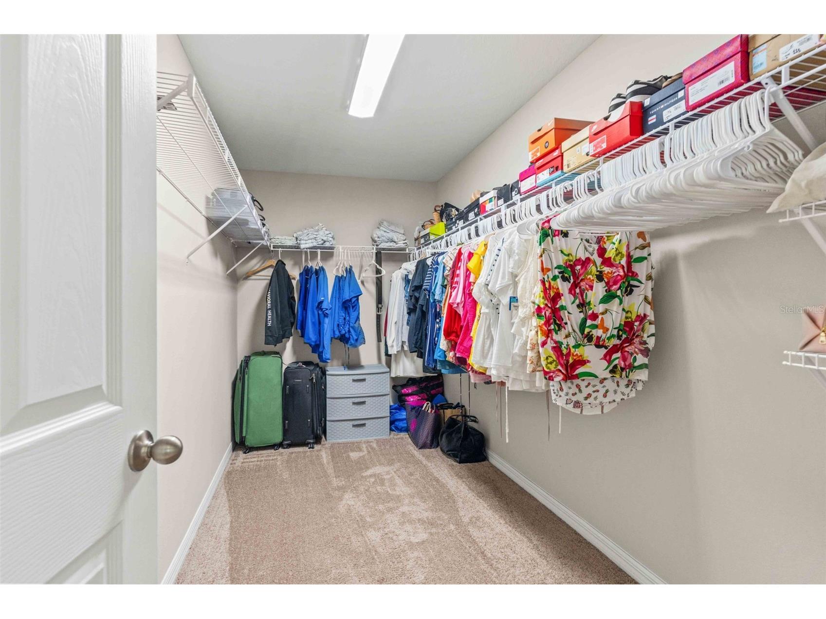 7512 Wallflower Trail Wesley Chapel FL 33545 TB8491806 image33
